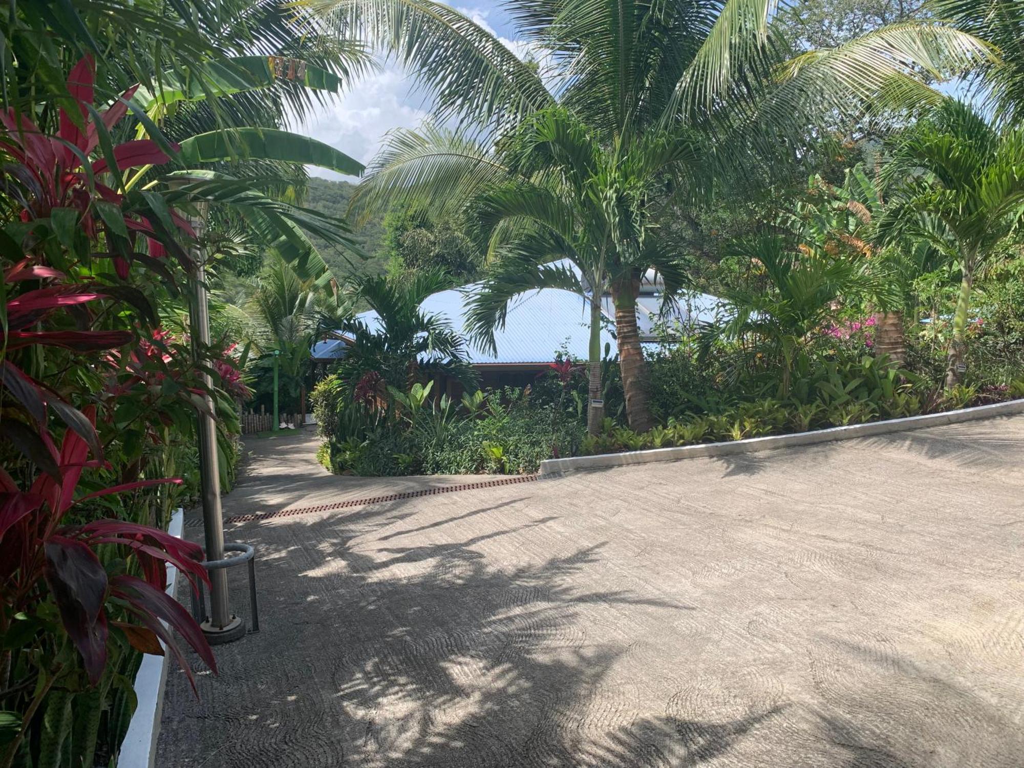 Les Ilets Caraibes Vue Mer Буйант Экстерьер фото