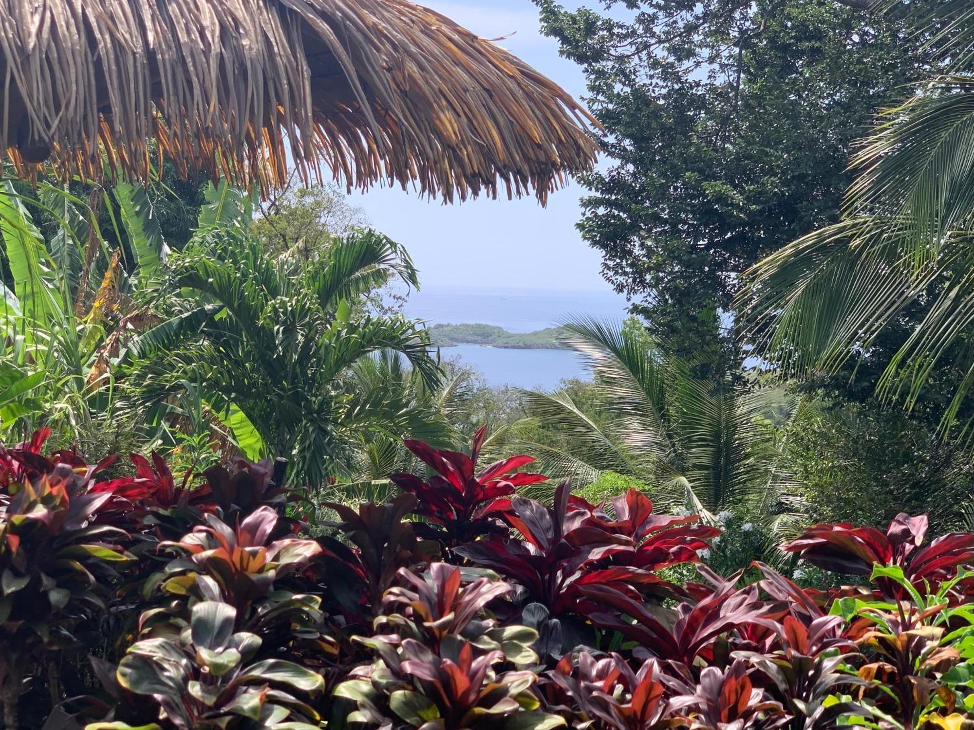 Les Ilets Caraibes Vue Mer Буйант Экстерьер фото